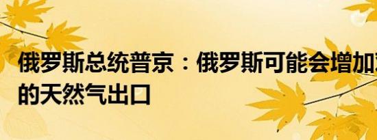 俄罗斯总统普京：俄罗斯可能会增加对土耳其的天然气出口