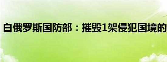 白俄罗斯国防部：摧毁1架侵犯国境的无人机