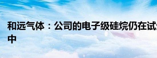 和远气体：公司的电子级硅烷仍在试生产过程中