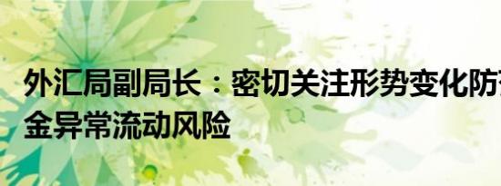 外汇局副局长：密切关注形势变化防范跨境资金异常流动风险