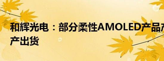 和辉光电：部分柔性AMOLED产品产品已量产出货