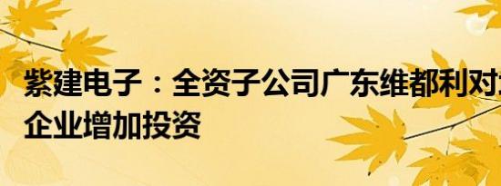 紫建电子：全资子公司广东维都利对境外下属企业增加投资