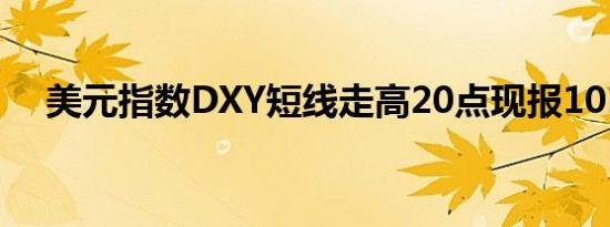 美元指数DXY短线走高20点现报101.26
