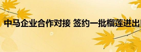 中马企业合作对接 签约一批榴莲进出口项目
