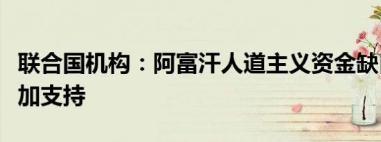 联合国机构：阿富汗人道主义资金缺口大需增加支持