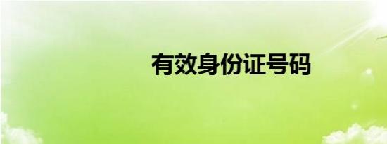 有效身份证号码