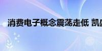 消费电子概念震荡走低 凯盛科技触及跌停