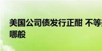 美国公司债发行正酣 不等美联储降息究竟为哪般