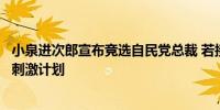 小泉进次郎宣布竞选自民党总裁 若接任日相将立即编制经济刺激计划