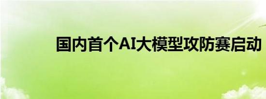 国内首个AI大模型攻防赛启动