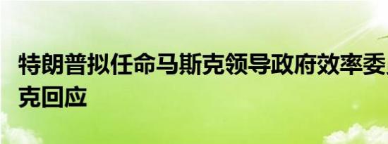 特朗普拟任命马斯克领导政府效率委员会马斯克回应