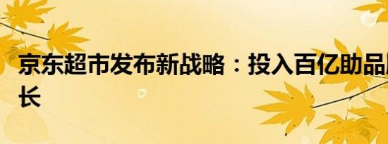 京东超市发布新战略：投入百亿助品牌持续增长