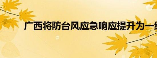 广西将防台风应急响应提升为一级