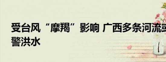 受台风“摩羯”影响 广西多条河流或出现超警洪水
