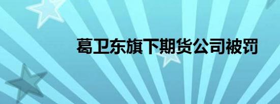 葛卫东旗下期货公司被罚