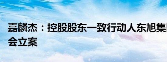 嘉麟杰：控股股东一致行动人东旭集团被证监会立案