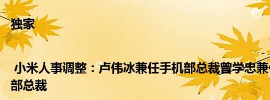 独家 | 小米人事调整：卢伟冰兼任手机部总裁曾学忠兼任国际业务部总裁