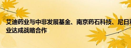 艾迪药业与中非发展基金、南京药石科技、尼日利亚菲森药业达成战略合作
