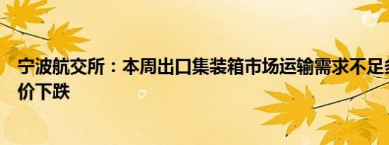 宁波航交所：本周出口集装箱市场运输需求不足多数航线运价下跌