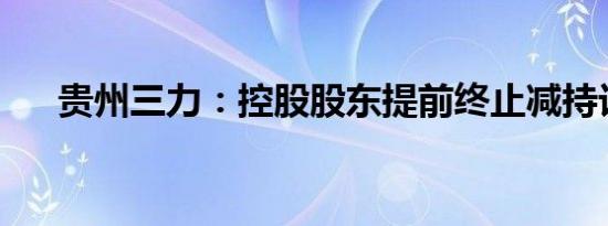 贵州三力：控股股东提前终止减持计划