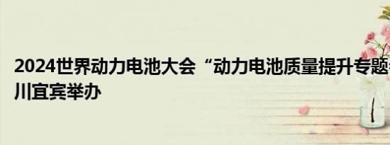 2024世界动力电池大会“动力电池质量提升专题会议”在四川宜宾举办