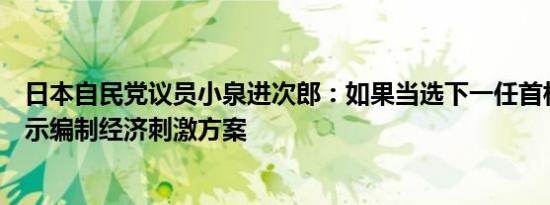 日本自民党议员小泉进次郎：如果当选下一任首相将立即指示编制经济刺激方案