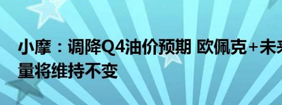小摩：调降Q4油价预期 欧佩克+未来一年产量将维持不变