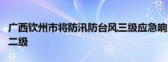 广西钦州市将防汛防台风三级应急响应提升为二级