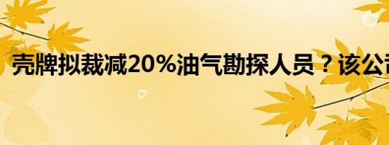 壳牌拟裁减20%油气勘探人员？该公司回应