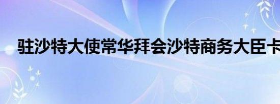 驻沙特大使常华拜会沙特商务大臣卡斯比