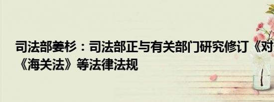 司法部姜杉：司法部正与有关部门研究修订《对外贸易法》《海关法》等法律法规