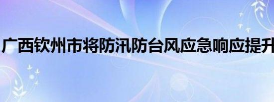 广西钦州市将防汛防台风应急响应提升至一级