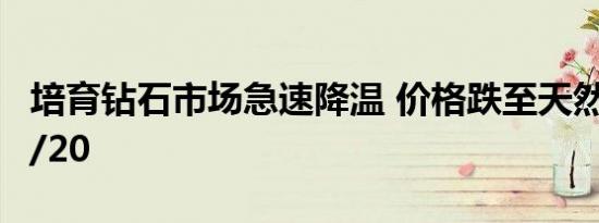培育钻石市场急速降温 价格跌至天然钻石的1/20