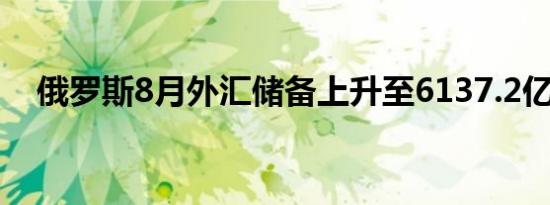 俄罗斯8月外汇储备上升至6137.2亿美元