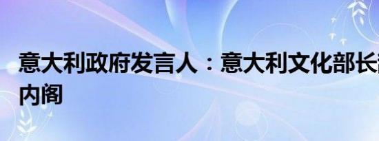 意大利政府发言人：意大利文化部长辞职退出内阁