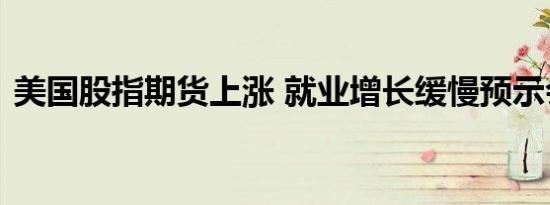 美国股指期货上涨 就业增长缓慢预示会降息