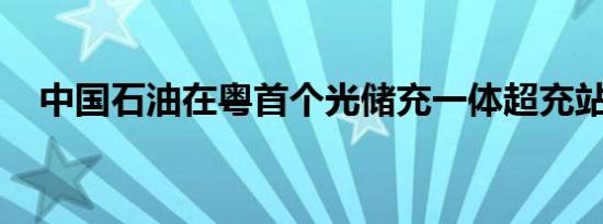 中国石油在粤首个光储充一体超充站投用