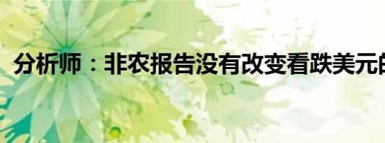 分析师：非农报告没有改变看跌美元的前景