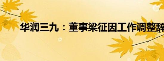 华润三九：董事梁征因工作调整辞职