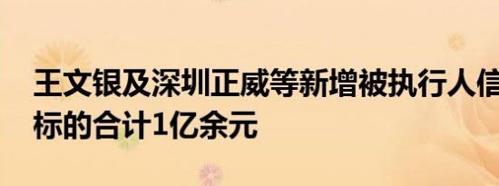 王文银及深圳正威等新增被执行人信息 执行标的合计1亿余元