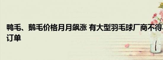 鸭毛、鹅毛价格月月飙涨 有大型羽毛球厂商不得不停掉海外订单