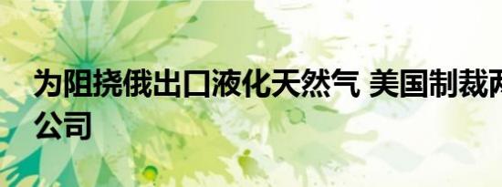为阻挠俄出口液化天然气 美国制裁两家印度公司