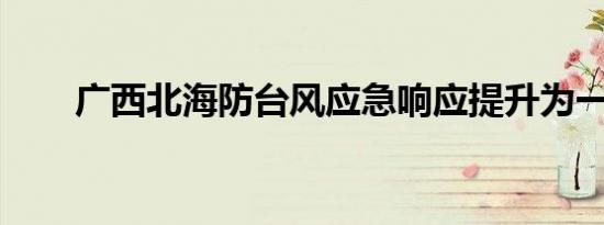广西北海防台风应急响应提升为一级