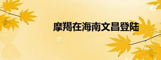 摩羯在海南文昌登陆