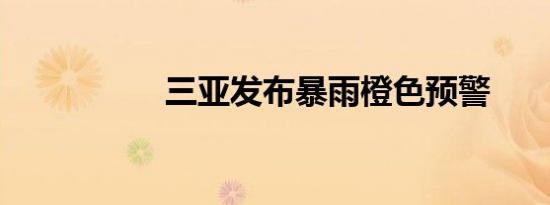 三亚发布暴雨橙色预警