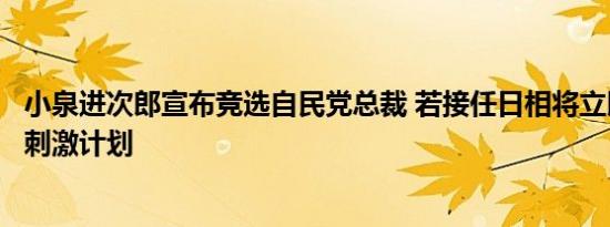 小泉进次郎宣布竞选自民党总裁 若接任日相将立即编制经济刺激计划
