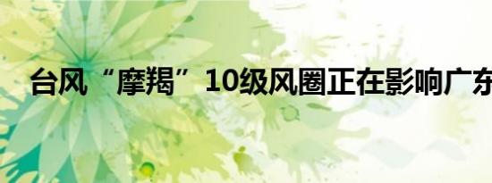 台风“摩羯”10级风圈正在影响广东徐闻