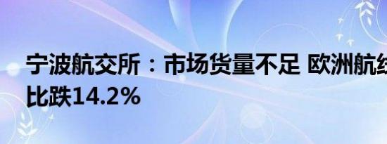 宁波航交所：市场货量不足 欧洲航线运价环比跌14.2%
