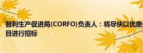 智利生产促进局(CORFO)负责人：将尽快以优惠价格对锂项目进行招标