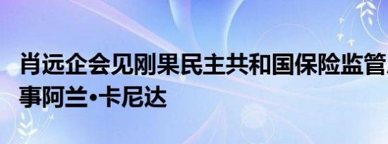 肖远企会见刚果民主共和国保险监管局常务董事阿兰·卡尼达